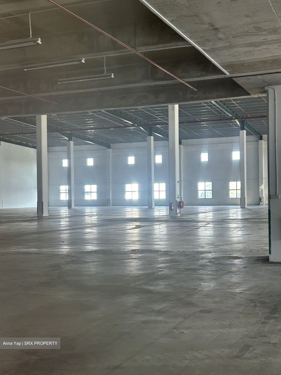 Changi North Industrial Park (D17), Warehouse #602285531